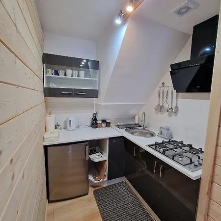 Apartment Apartament Z Widokiem Koscielisko
